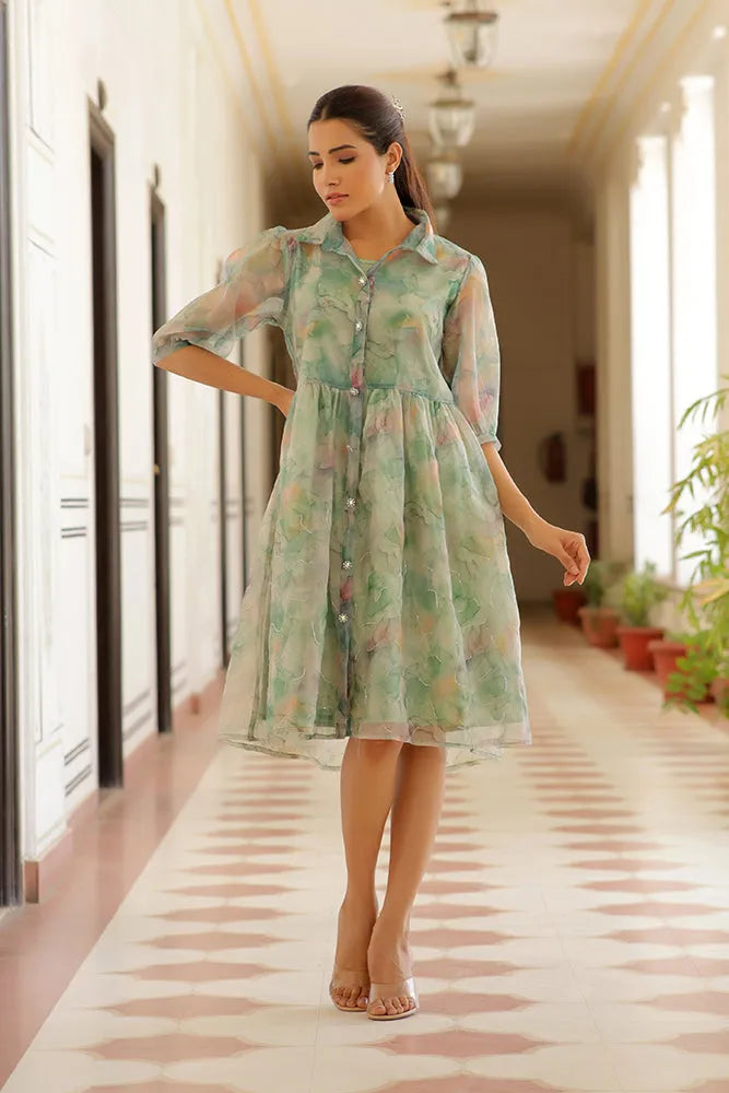 Trendy Fit & Flare Dress (Set of 5 Pc)