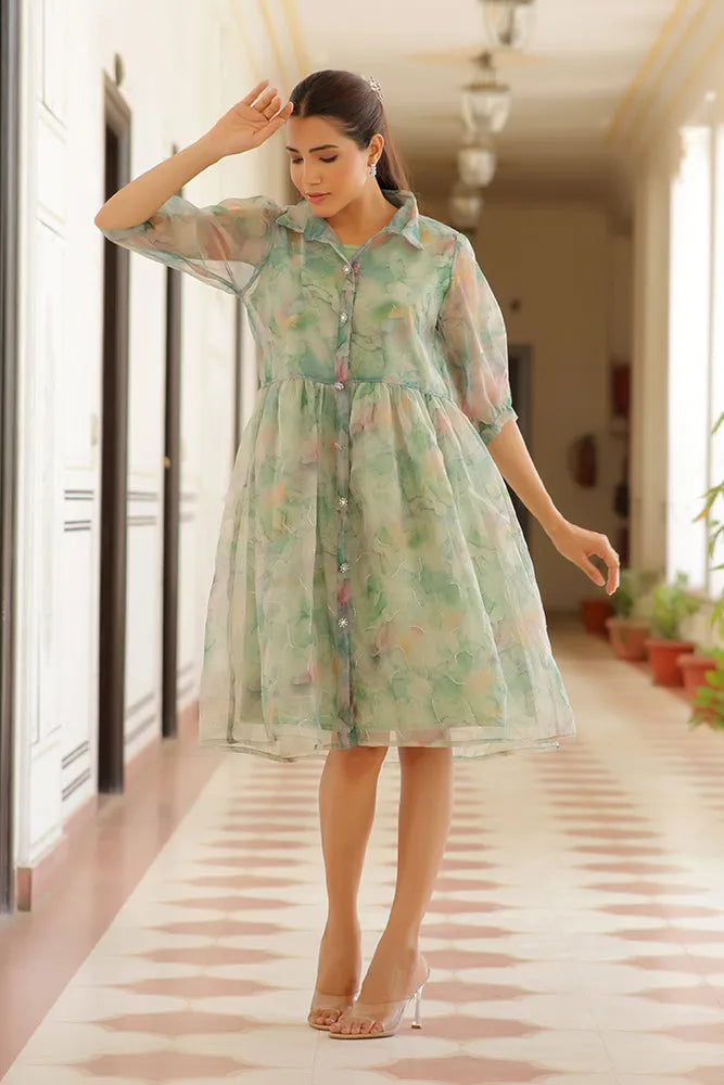 Trendy Fit & Flare Dress (Set of 5 Pc)