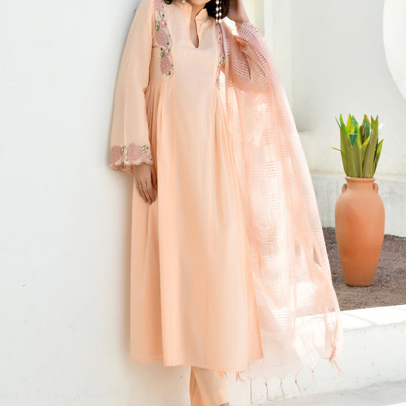 (Vaasva) Women peach applique aline suit set (Set of 5pc)